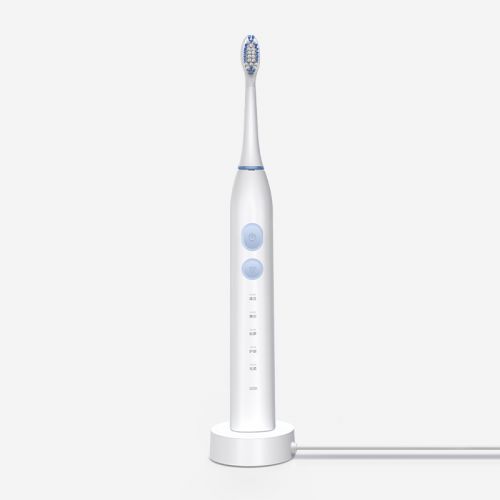 龙八头号玩家唯一声波电动牙刷Y1